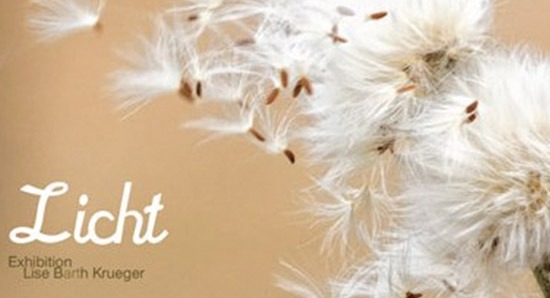 2013 Licht