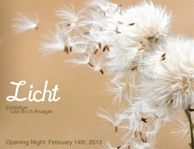 2013 Licht